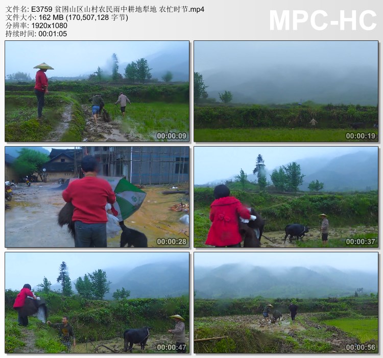 贫困山区视频 山村农民雨中耕地犁地农忙时节 高清实拍视频素材