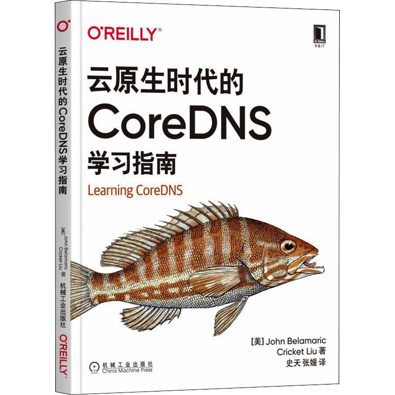 云原生时代的CoreDNS学习指南域名系统网络服务器普通大众书计算机与网络书籍